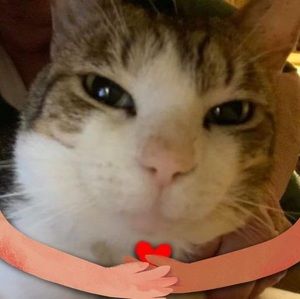 Meet your Posher, Barbie